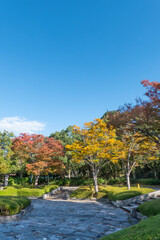 Naklejka premium 初秋の晴れた日の公園 滋賀県大津市びわこ文化公園