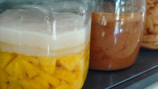 Kombucha Scoby in a glass jar. Fermented drink.