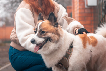 Woman hugging dog in the autumn park.