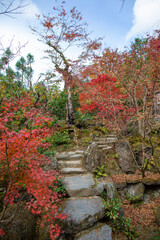 Naklejka premium The scenery of Hosen-in Temple in Kyoto, Japan in late autumn.