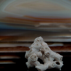 Stillleben mit KI erstellt+bearbeitet