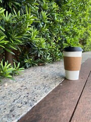 White paper coffee cup on wooden deck beside hedge