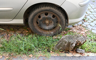 Damaged tire of a car on a cobblestone street with overgrown grass and a broken tree stump