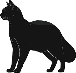 Black Cat Silhouette Minimalist Illustration