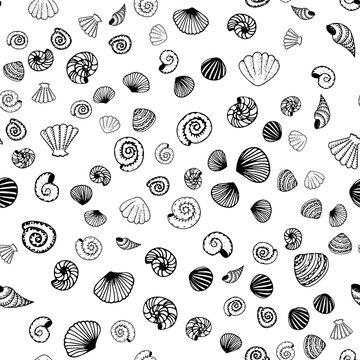 Hand-drawn doodles of shell variations on a white background, seashell seamless pattern in black and white