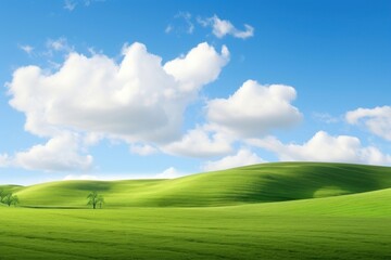 Fototapeta premium Foliage landscape grass field.