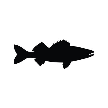 Walleye fish silhouette icon vector flat illustration design.
