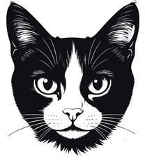 Obraz premium Black Cat Silhouette Minimalist Illustration