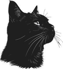 Black Cat Silhouette Minimalist Illustration