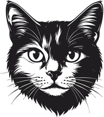 Black Cat Silhouette Minimalist Illustration