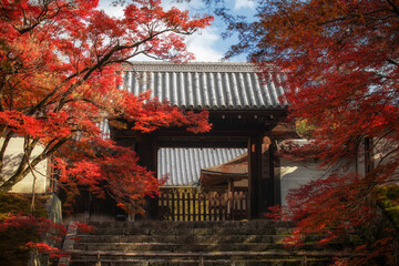 Fototapeta premium The scenery of Manshuin Temple in Kyoto, Japan in late autumn.