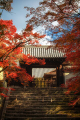 Fototapeta premium The scenery of Manshuin Temple in Kyoto, Japan in late autumn.