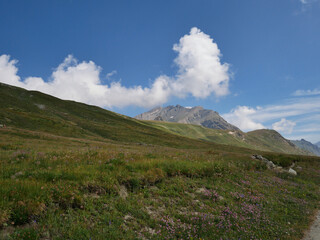 Fototapeta premium Nivolet Hill (Colle del Nivolet) . Gran Paradiso National Park, Alps, Piedmont, Italy.
