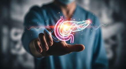Illuminating Pancreatic Health A Medical Professional Interacts with a Vibrant Digital Projection of the Human Pancreas, Symbolizing Advanced Research, Diagnosis, and Innovative Treatment Concepts
