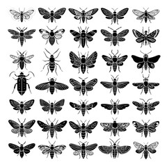 Insect icons set, various bug silhouettes for design on transparent background