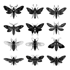 Insect icons, bug symbols, moth and bee illustrations, black vector graphics on transparent background
