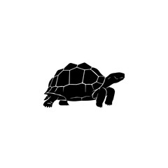 Minimalist black silhouette of a tortoise with a detailed shell, isolated on a plain white background.