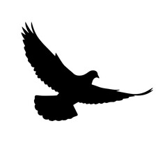 Black silhouette of a peaceful dove in flight with outstretched wings on a white background.