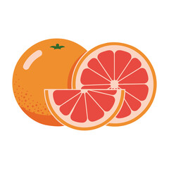 Vector illustration showing a whole orange with a green stem and two slices of a red grapefruit fruit