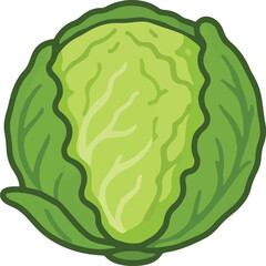 Obraz premium Green Cabbage Vegetable Illustration Keywords: cabbage, green, vegetable, food, fresh, healthy