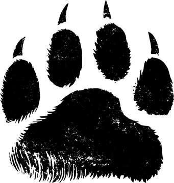 Urban wildlife stencil art: black and white bear paw silhouette for creative designs