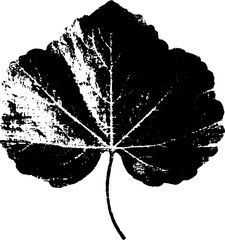 Monochrome botanical leaf stencil art for natural design inspiration