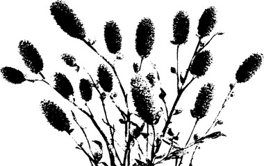Naklejka premium Black and white stencil art of a willow cluster for design and decoration