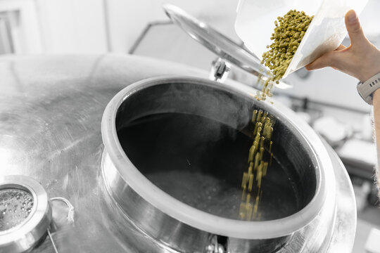Brewing process in action, adding hops to beer fermentation tank