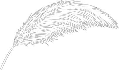 Obraz premium Feather quill ink writing drawing soft light airy delicate elegant vintage