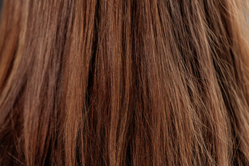 Fototapeta premium Closeup Damaged texture brown hair of female before keratin treatment