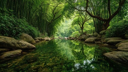 Obraz premium A serene river flows through a lush, verdant bamboo forest, reflecting the canopy above