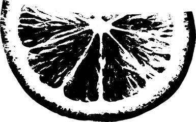 Black and white sliced citrus fruit stencil illustration for modern design projects