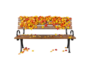 Autumn Leaves on a Rustic Park Bench