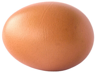 Single Brown Chicken Egg, Laying Hen, for Food Isolated in Transparent Background