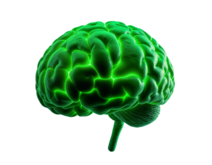 Luminous Green Brain with Transparent Background