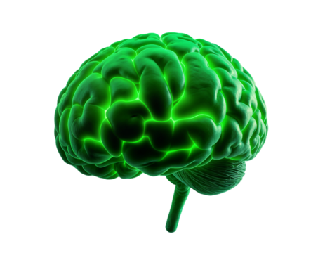 Luminous Green Brain with Transparent Background - Powered by Adobe