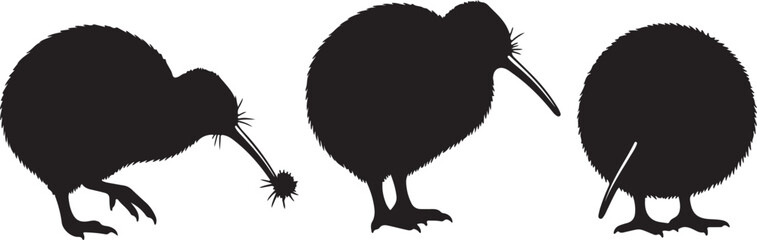 Stylized black kiwi bird silhouette surrounded by fern fronds and a circular border emblematic of new zealand culture and nature