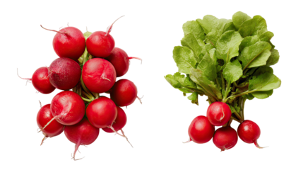 Two piles of radishes side by side one whole and one sliced on transparent background