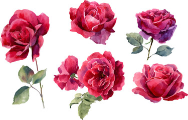 Fototapeta premium bouquet of roses