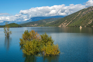 Arbres et clocher dans le lac de barrage de Mediano, Aragon, Espagne