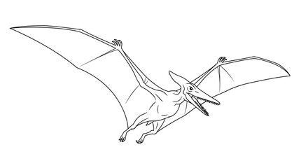 Line art illustration of a pterodactyl in flight with wings outstretched.