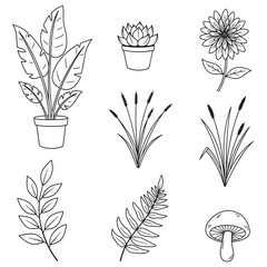 Hand‑Drawn Plants Doodle Collection. Botanical Line Art Illustrations.