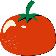 Fresh Tomato Vector Illustration