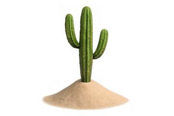 Desert living green cactus growing from sand dune, isolated on transparent background, symbolizing arid landscape and survival