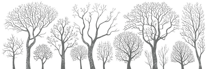 Birch and Poplar Tree Silhouettes Presented as Clean Vector Illustration for Natural Woodland Elements, Forest Backgrounds, Landscape Design, and Botanical Creative Projects