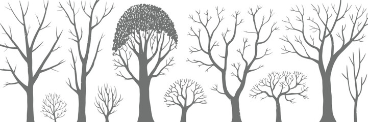 Birch and Poplar Tree Silhouettes Presented as Clean Vector Illustration for Natural Woodland Elements, Forest Backgrounds, Landscape Design, and Botanical Creative Projects