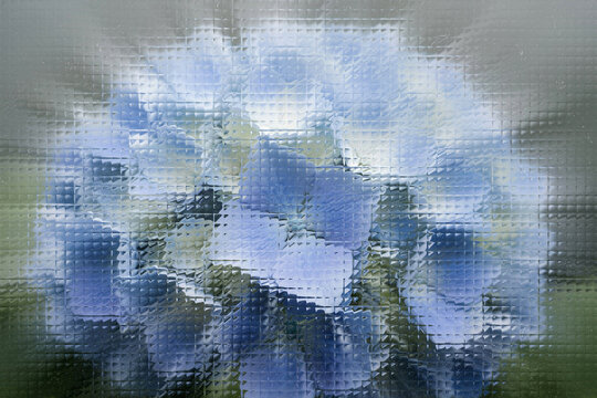 Floral. Pixelated. An artistic abstract of a blue hydrangea flower cluster seen through a dotted glass grid, creating a beautiful, pixelated, and dreamy effect for a modern design.