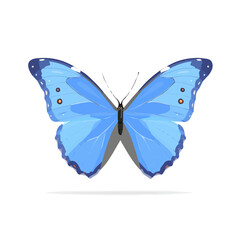 Beauty_flat_2D_icon_of_a_blue_morpho_butterfly_isolated_on white