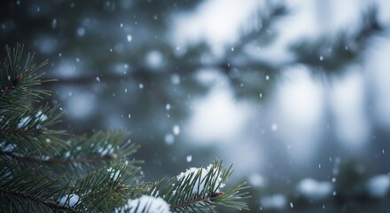 Pine needles coated with snow set against a backdrop of falling snow