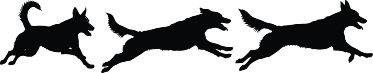 Running dog silhouettes set, canine running phases, active pet, dog jumping, motion sequence, isolated vector illustration collection, pets.